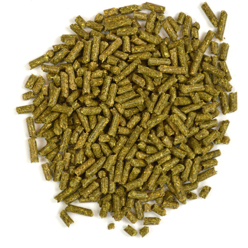 Oxbow Garden Select Adult Rabbit Food, 4-lb image number null