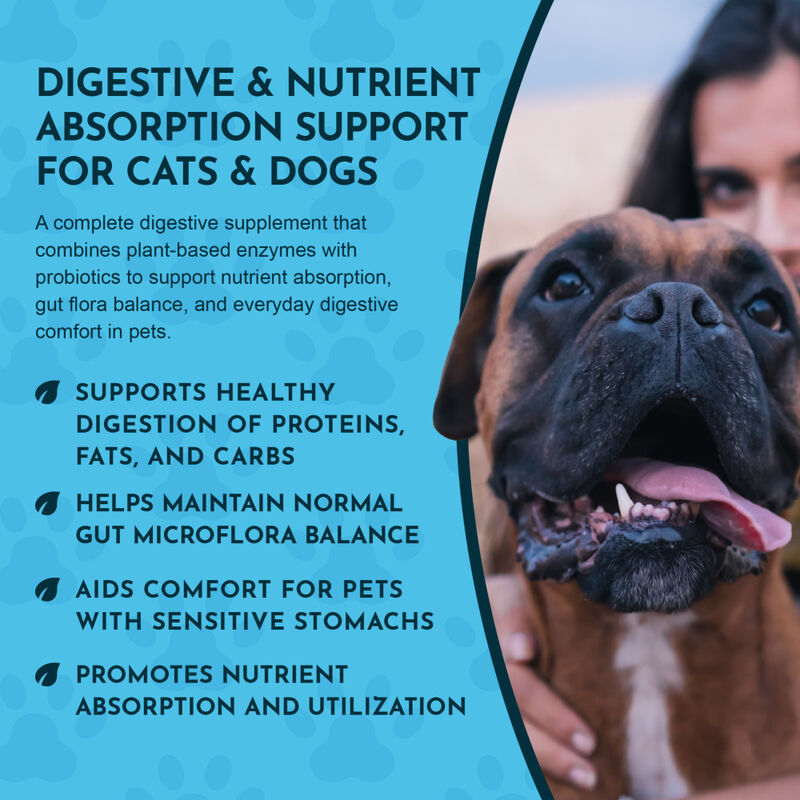 Animal Essentials Plant Enzyme & Probiotics Digestive Dog & Cat Supplement, 3.5-oz image number null