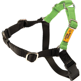 Dolan's Dog Doodads Wonder Walker Body Halter Dog Harness, Light Green