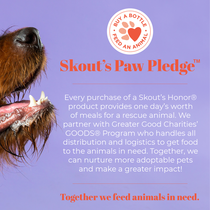 Skout's Honor Probiotic Pet Hot Spot Hydrogel, 4-oz image number null