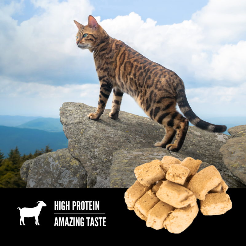 Orijen Freeze-Dried Cat Treats, Tundra, 1.25-oz image number null