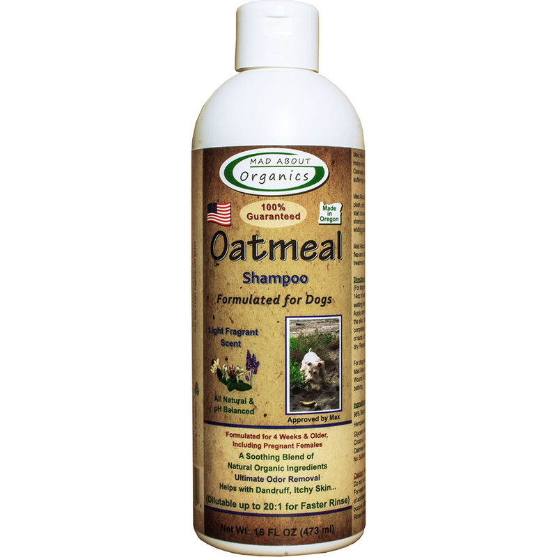 Does Oatmeal Shampoo Help Dogs
