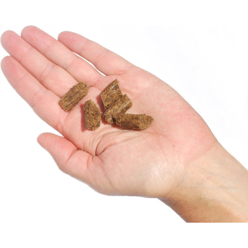 Plato Small Bites Dog Training Treats, Lamb, 6-oz image number null