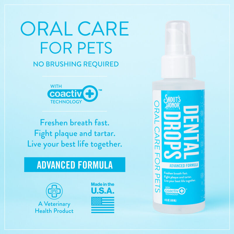 Skout's Honor Oral Care Dental Drops for Pets, Advanced Formula, 4-oz image number null