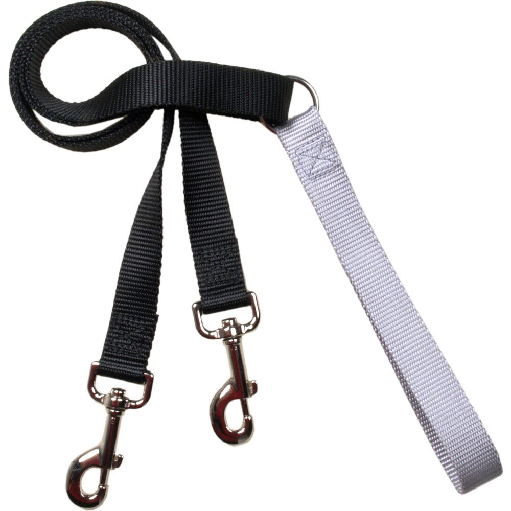 Two shop hounds leash