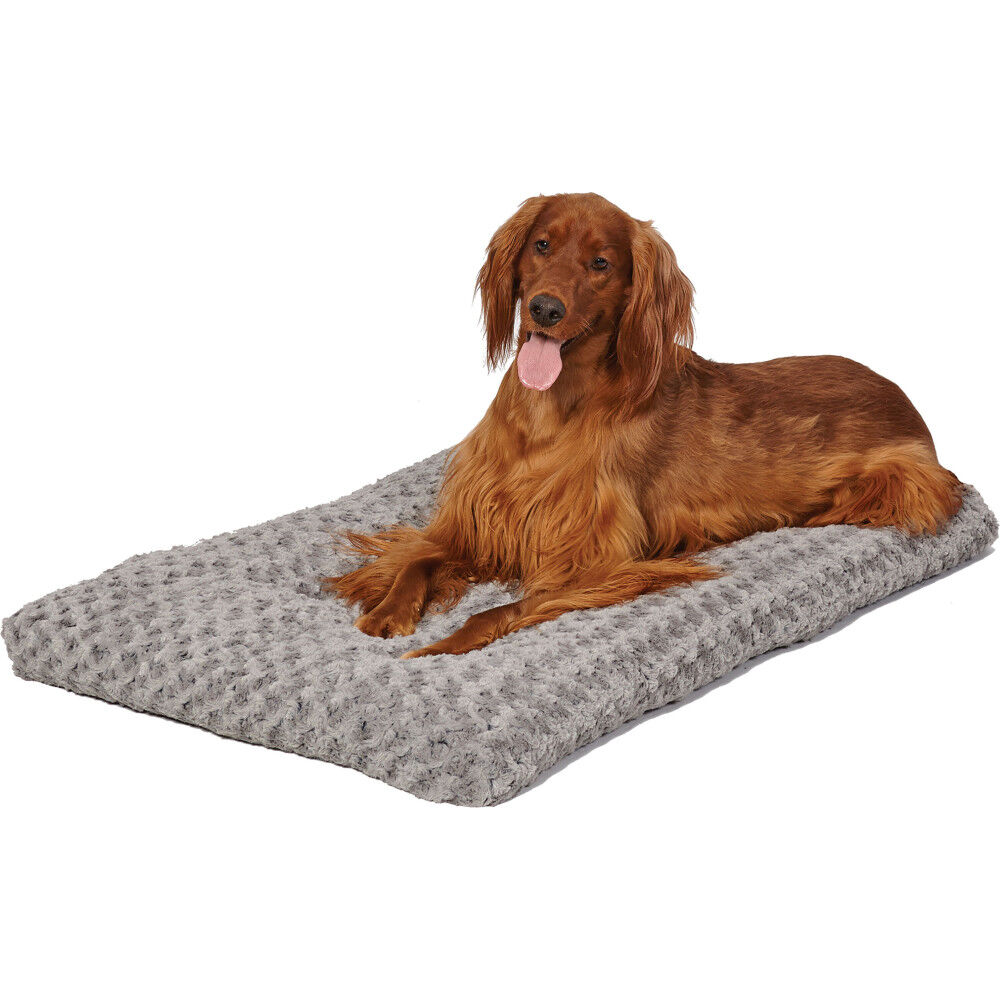 Midwest quiet time ombre discount swirl dog & cat bed