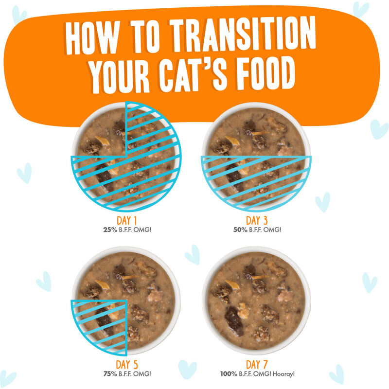 B.F.F. Best Feline Friend OMG Gravy! Wet Cat Food, Purr-Fect Plannin'!, Chicken, Turkey & Salmon, 2.8-oz image number null
