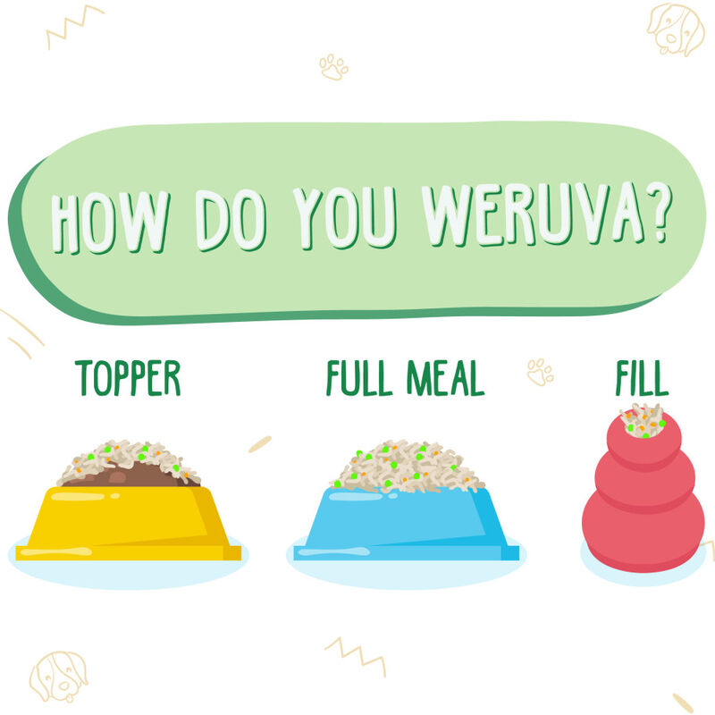 Weruva Classic Canned Dog Food, Cirque De La Mer, Tuna Veggies & Pumpkin Soup, 14-oz image number null