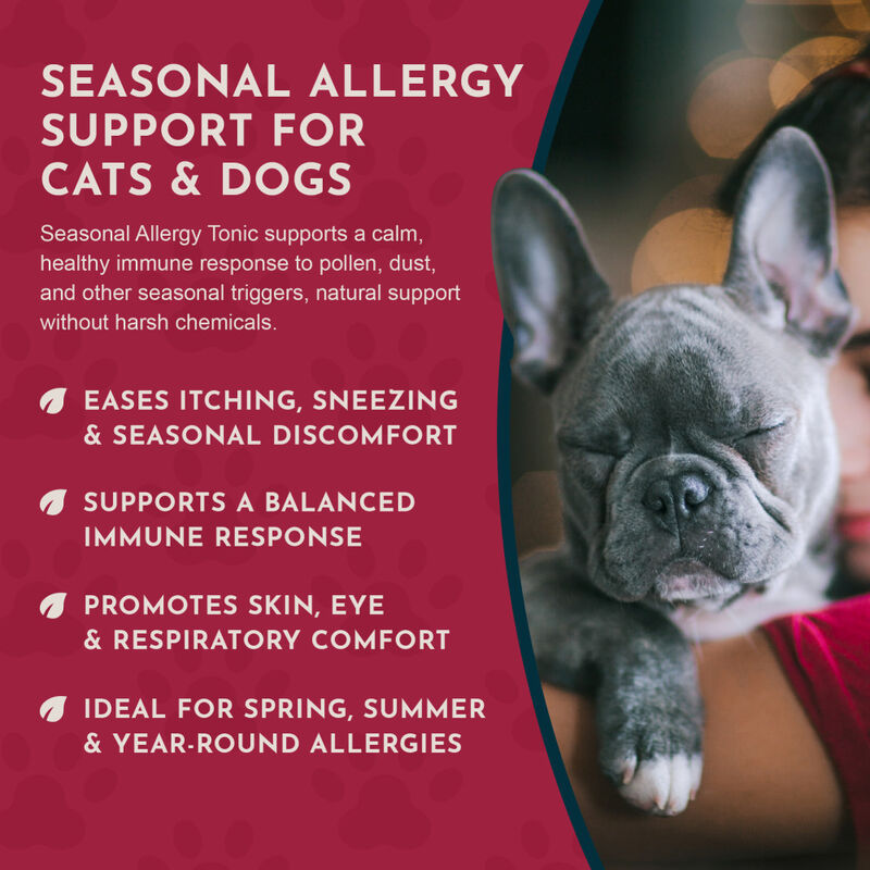 Animal Essentials Seasonal Allergy Herbal Dog & Cat Supplement, 1-oz image number null
