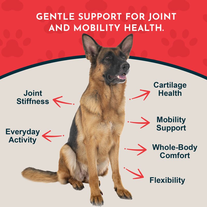 Animal Essentials Joint Support Dog & Cat Supplement, 1-oz image number null