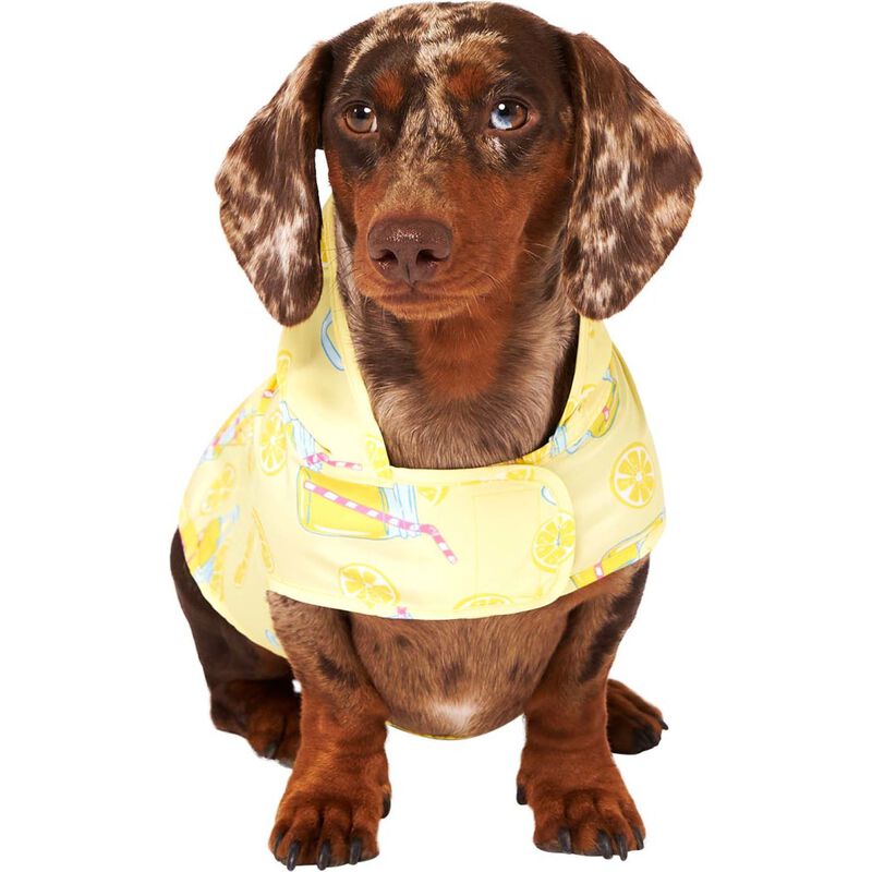 Canada Pooch Pick Me Dog Poncho, Lemonade image number null