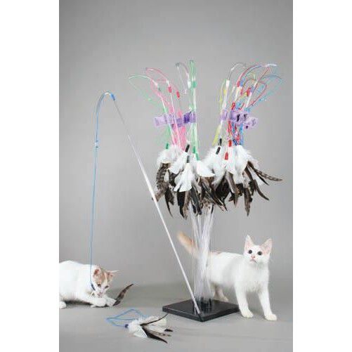 Vee purrfect deals