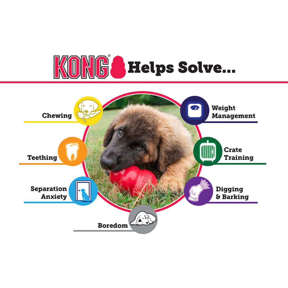 Kong classic dog toy small cheap
