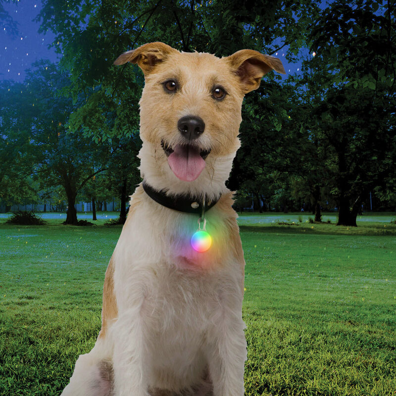 Nite Ize SpotLit Rechargeable LED Dog Collar Light, Classic, Disc-O Tech image number null
