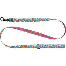 RC Pets Eco Dog Leash, Funky Fungi, 1-in x 5-ft