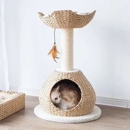 PetPals Walkup Cat Tree