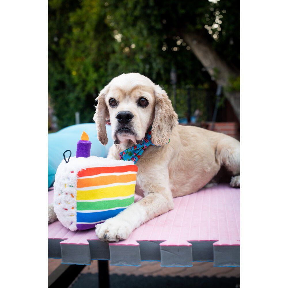 Mud Bay Buy Huxley Kent Lulubelles Funfetti Cake Dog Toy for