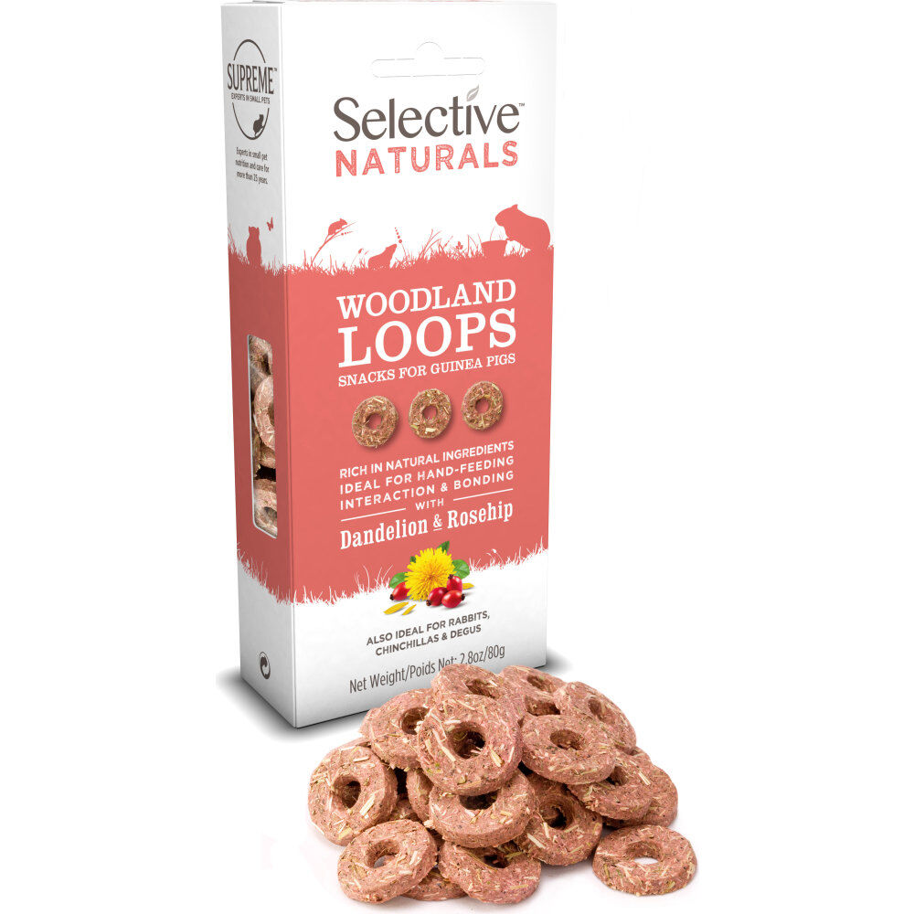 Good snacks for guinea pigs clearance