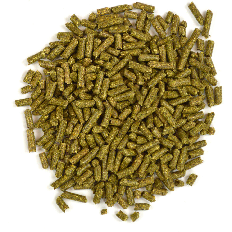 Adult sale rabbit food