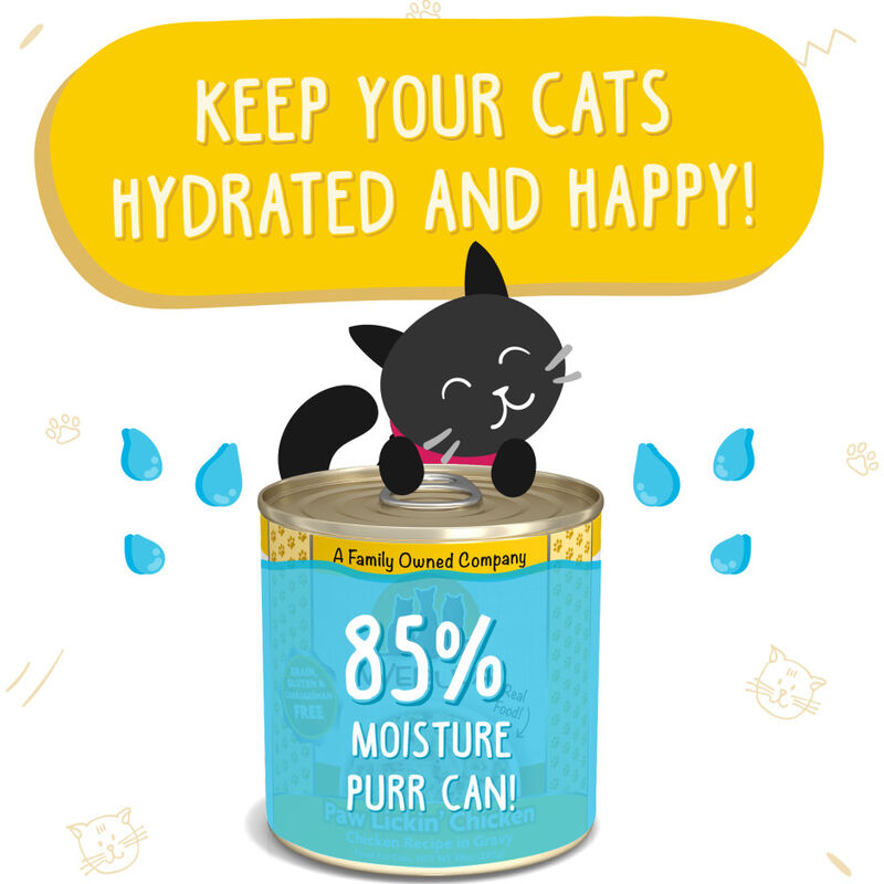 Weruva Classic Canned Cat Food, Paw Lickin' Chicken, Chicken, 10-oz image number null