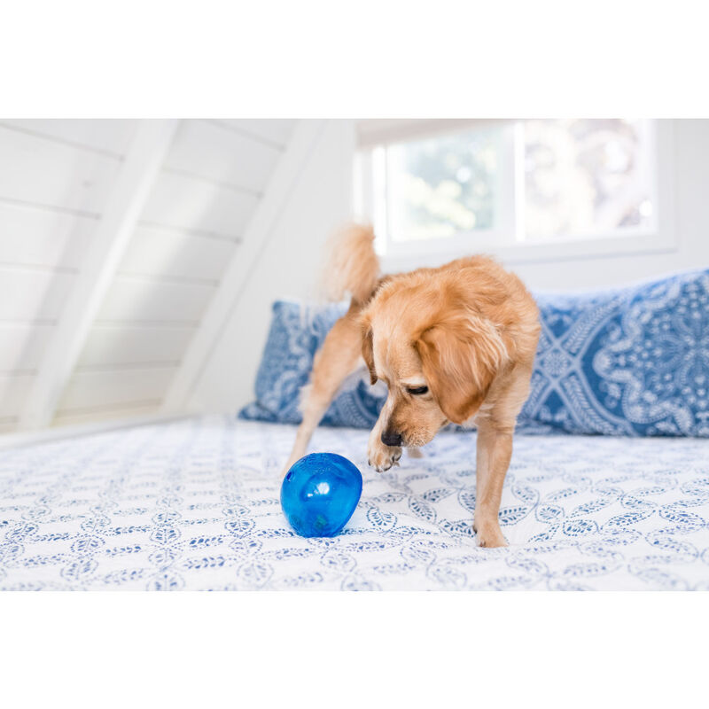 Petstages Planet Dog Orbee-Tuff Lil Snoop Interactive Treat Puzzle Dog Toy, Blue, Small image number null