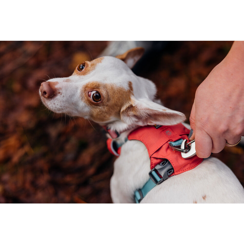 Ruffwear Hi Light Lightweight Dog Harness Salmon Pink X Small