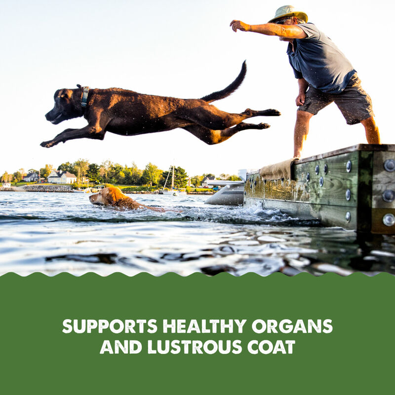 Grizzly Algae Plus Plant Based Omega 3-6-9 Food Supplement for Dogs and Cats, 16-oz image number null