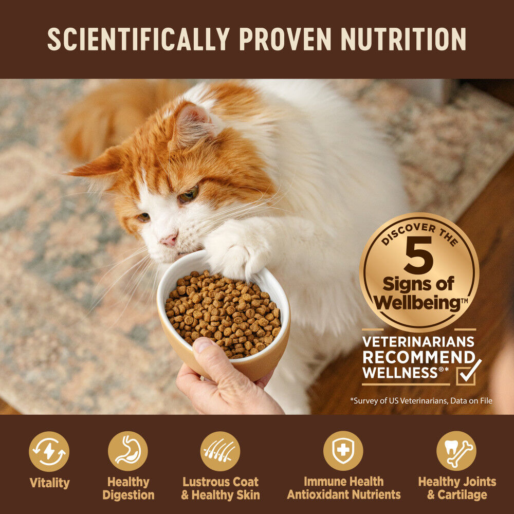 Wellness Core Grain Free Dry Cat Food Original Turkey Chicken 5 lb