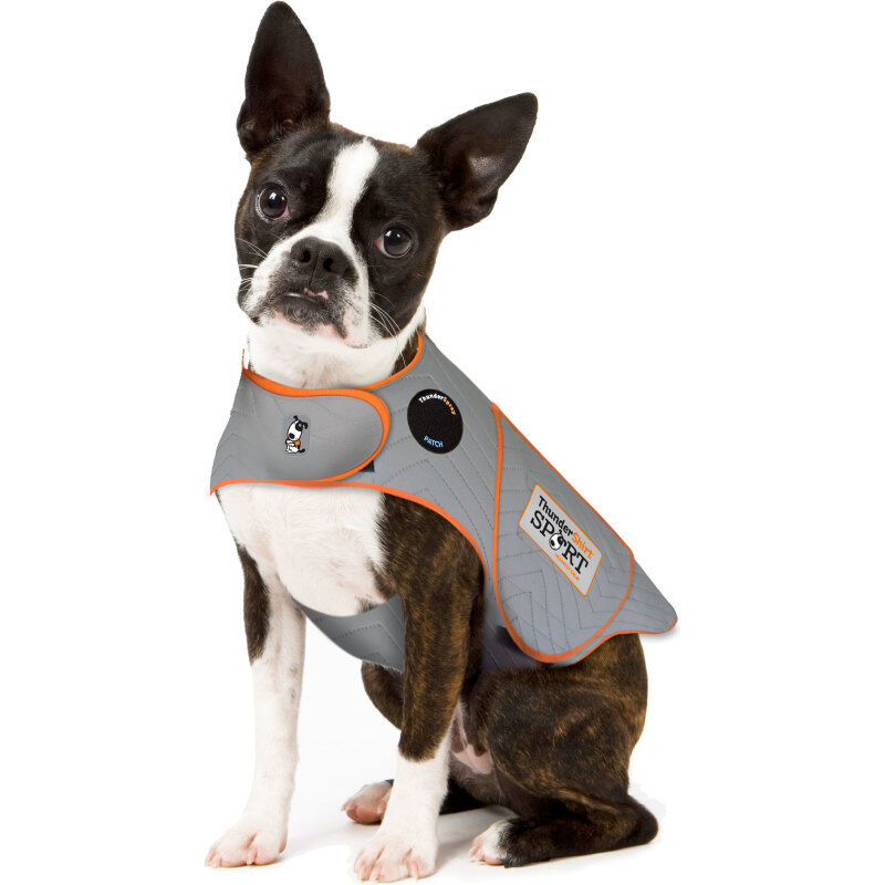 ThunderShirt SPORT Platinum Anxiety & Calming Solution for Dogs, Heather Grey image number null