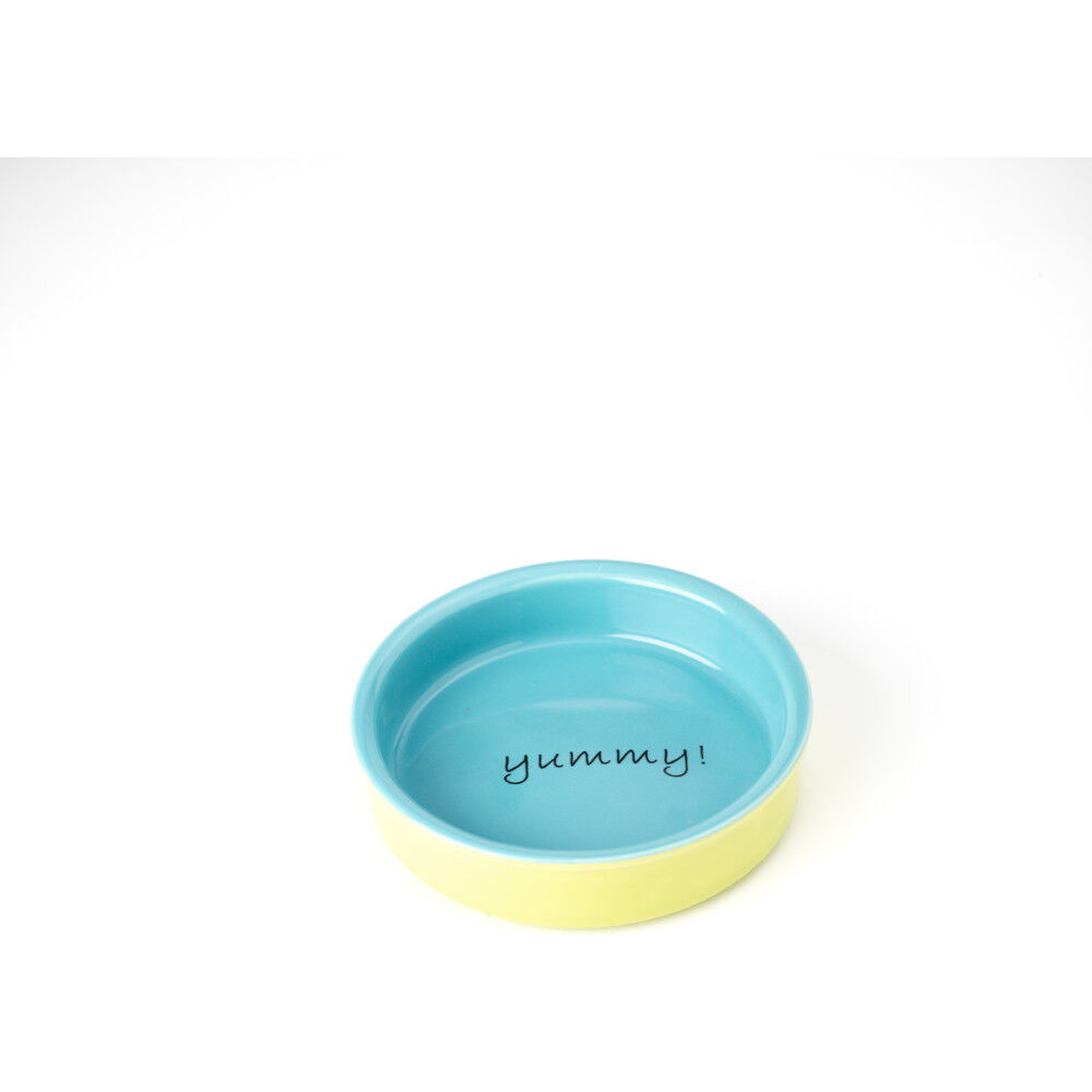 Mud Bay Buy PetRageous Designs Yummy Time Pet Bowl Green Blue