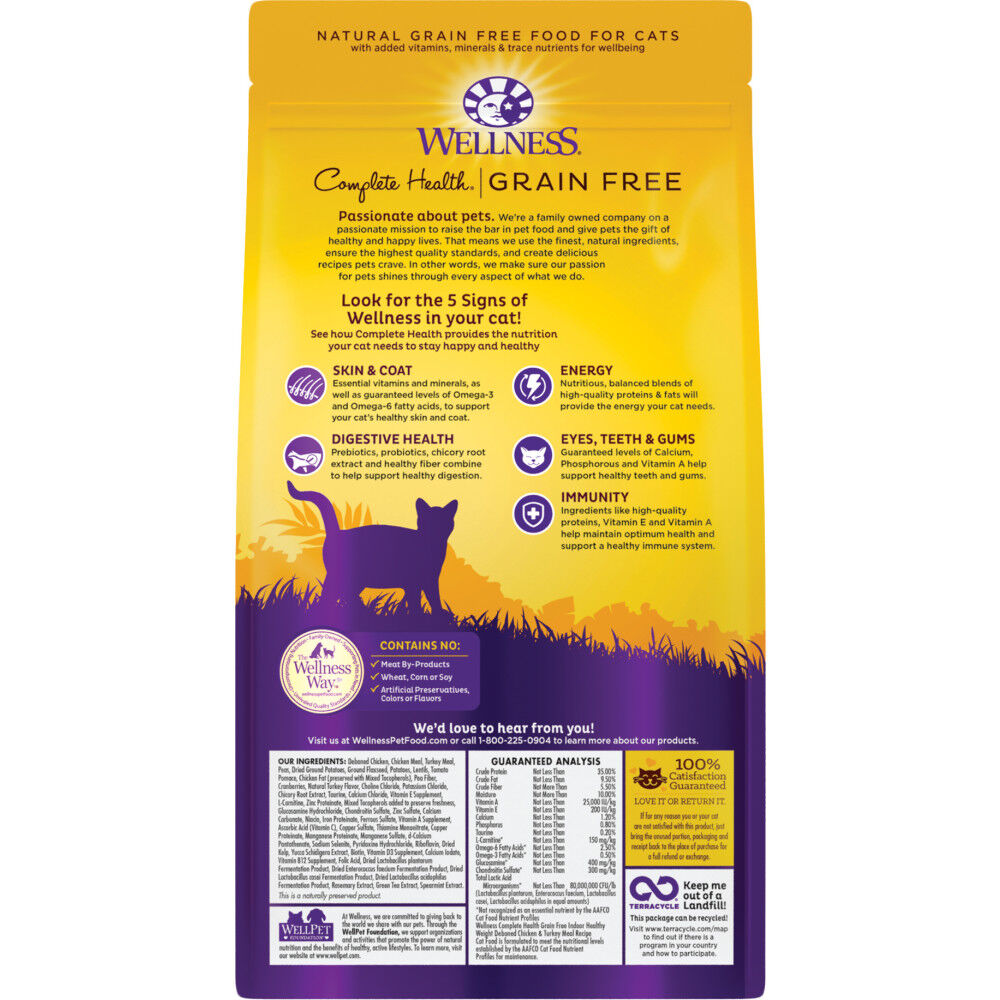 Wellness grain sales free cat food