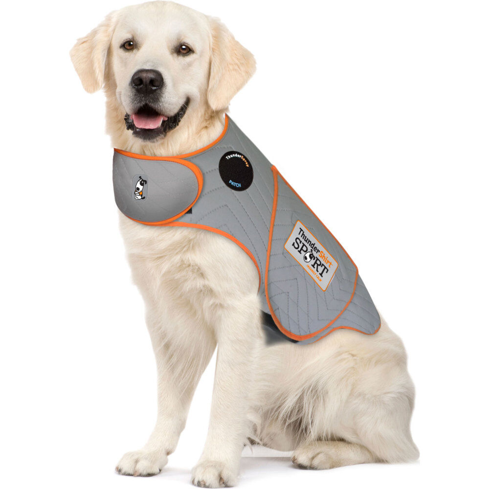 Thundershirt for dogs near me online
