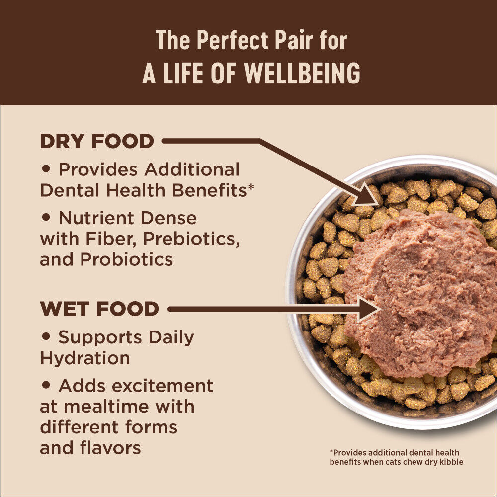 Wellness core indoor cat food shop