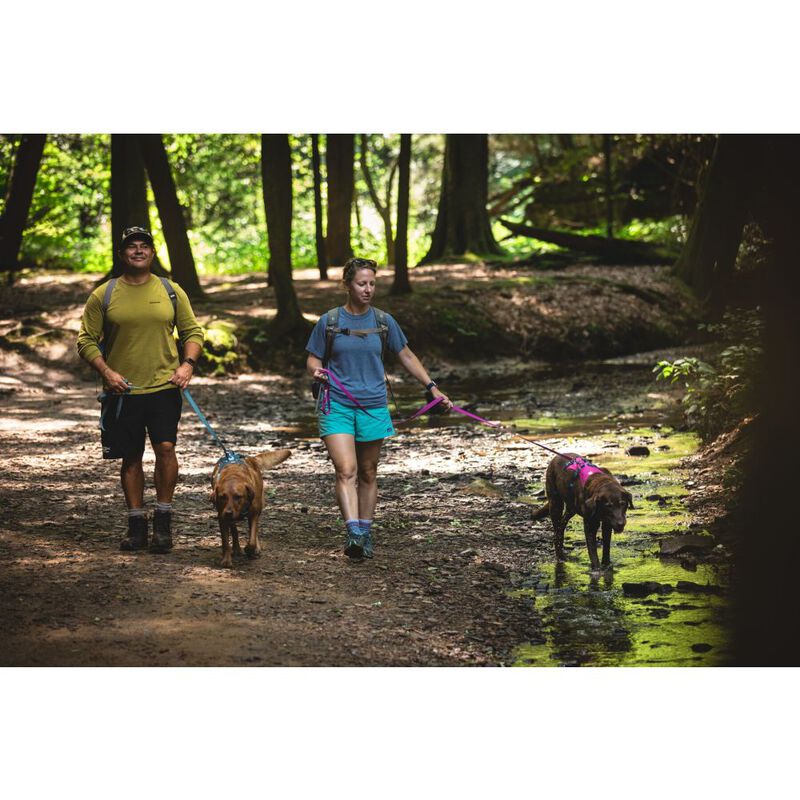 Ruffwear Flagline Dog Leash, Alpenglow Pink, 6.5-ft image number null