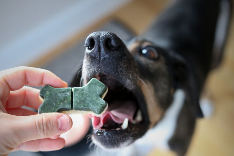 Waroomhouse Freezeable Dog Treat Molds Create Healthy Treats with