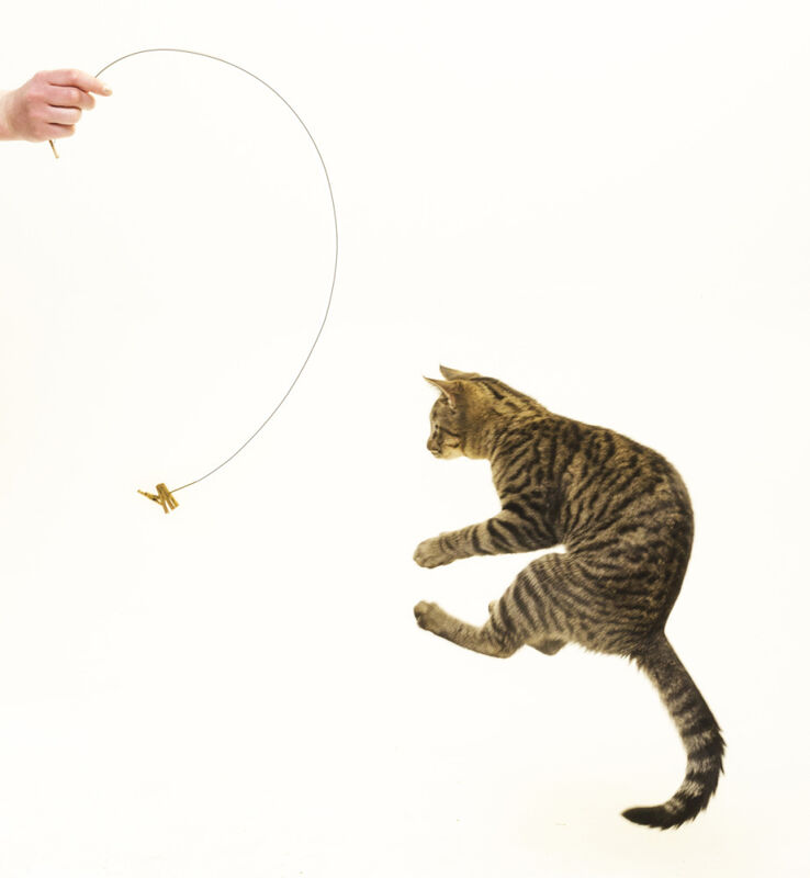 Cat Dancer Products Cat Dancer Cat Toy image number null