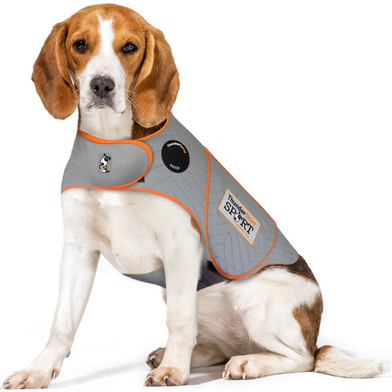 ThunderShirt SPORT Platinum Anxiety & Calming Solution for Dogs, Heather Grey, Medium image number null