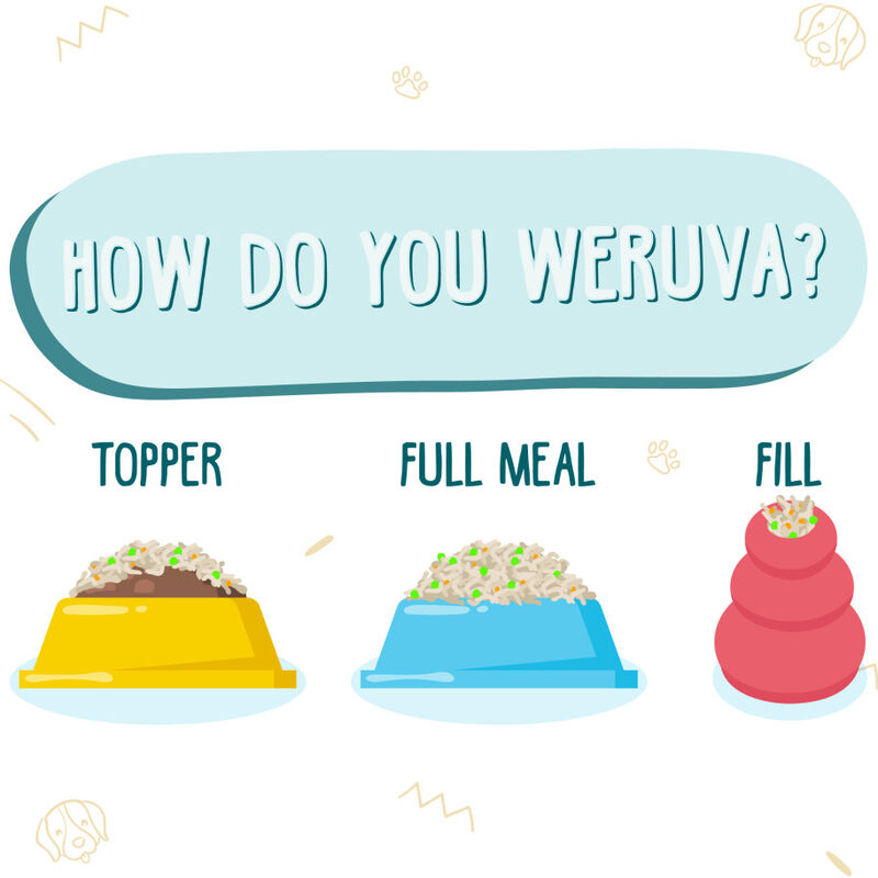 Weruva Classic Canned Dog Food, Funky Chunky, Chicken Soup & Pumpkin, 14-oz image number null
