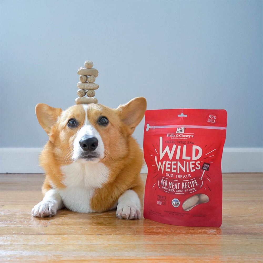 Weenies dog clearance