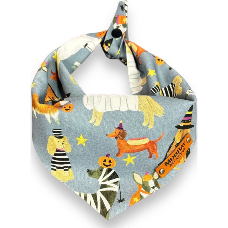 Mud Bay Dog & Cat Bandana, Too Cute to Spook image number null