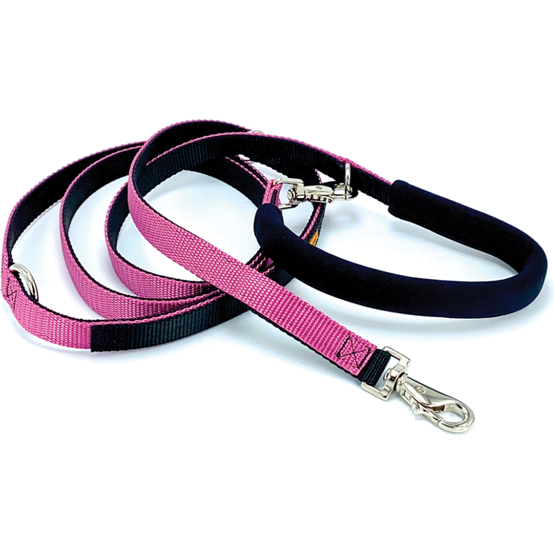 Types of online leads for dogs