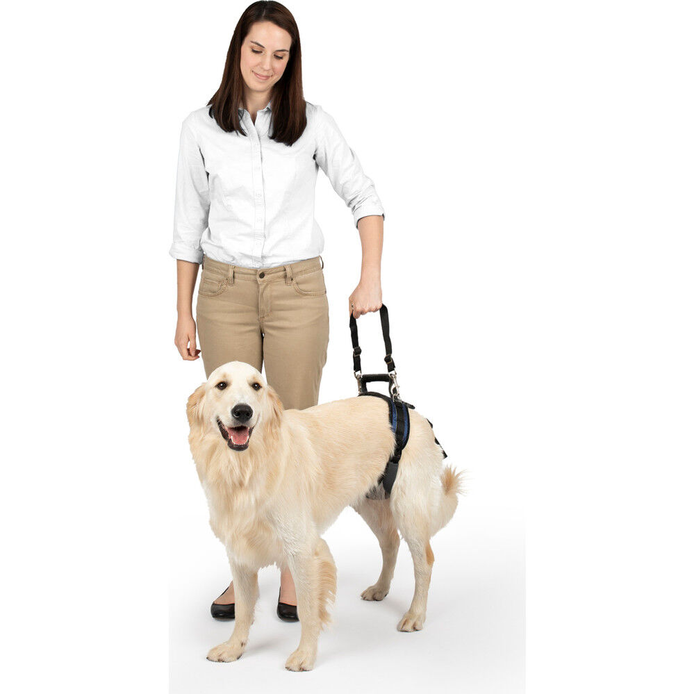 Mud Bay Buy PetSafe CareLift Rear Support Dog Harness Large for