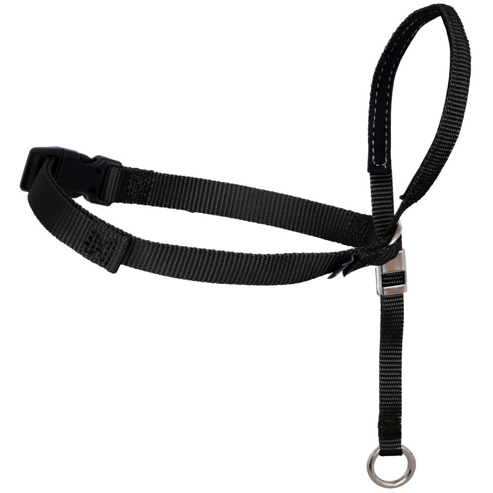 Gentle leader sale harness australia