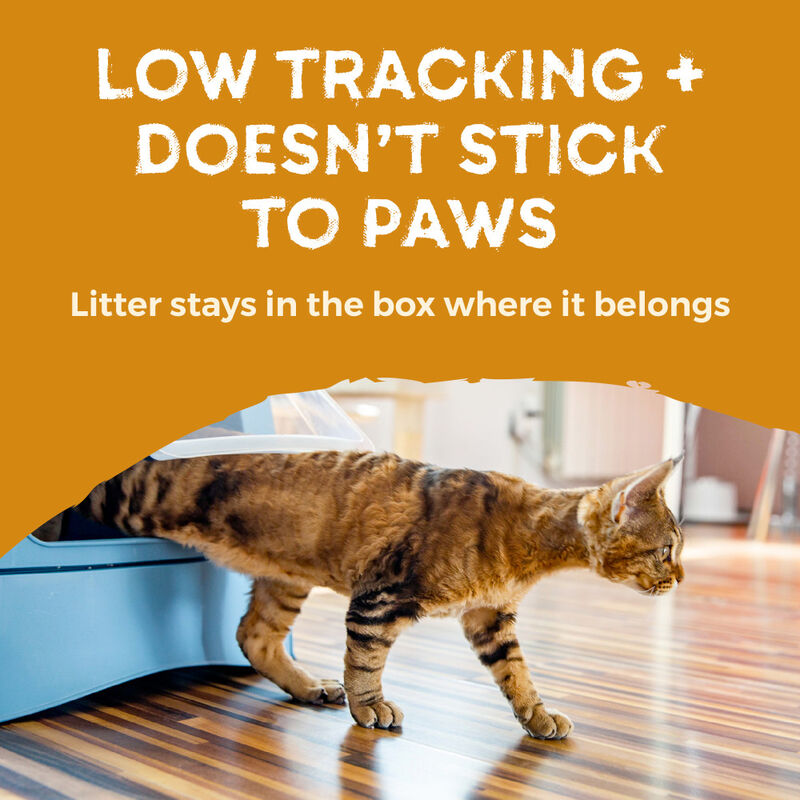 Naturally Fresh Walnut Shell Cat Litter, Quick-Clumping Herbal Attraction, 14-lb image number null