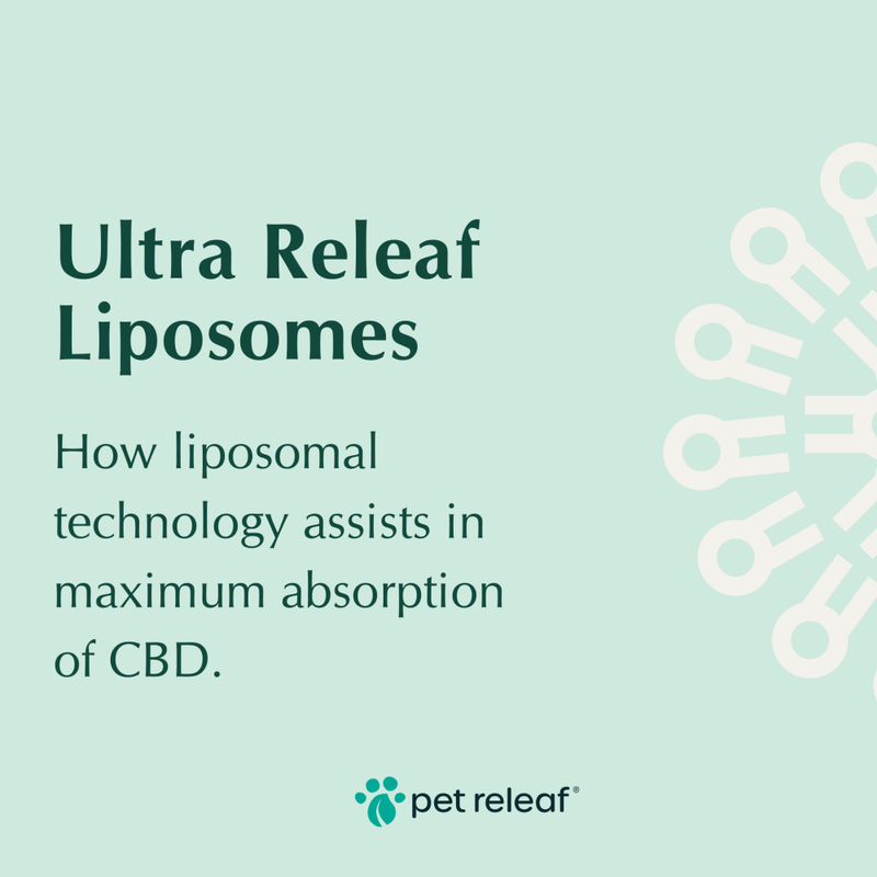 Pet Releaf CBD Liposome Hemp Oil Dog & Cat Supplement, Ultra Releaf 300, 30-ml image number null