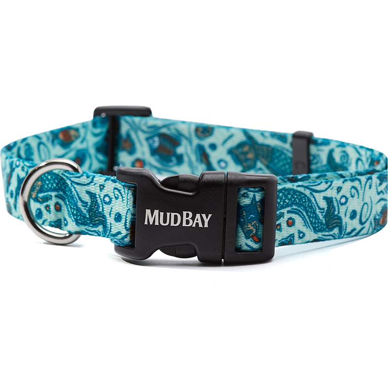 The bay dog collar top