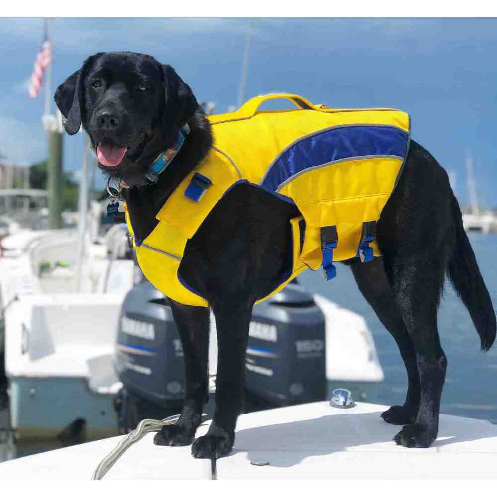 Mud Bay Buy BayDog Monterey Bay Dog Life Jacket Yellow for USD