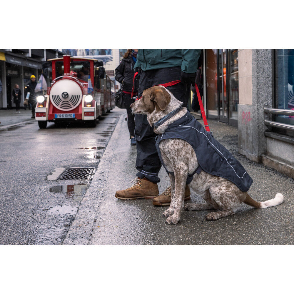 Ruffwear dog jacket cheap