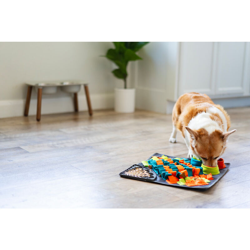 Messy Mutts Square Forage Mat with Lick Mat, 16-in x 16-in image number null
