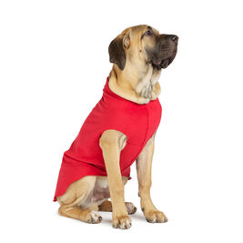 Gold Paw Stretch Fleece Dog Coat, Red